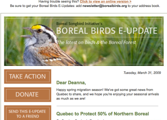 Boreal Bird enews